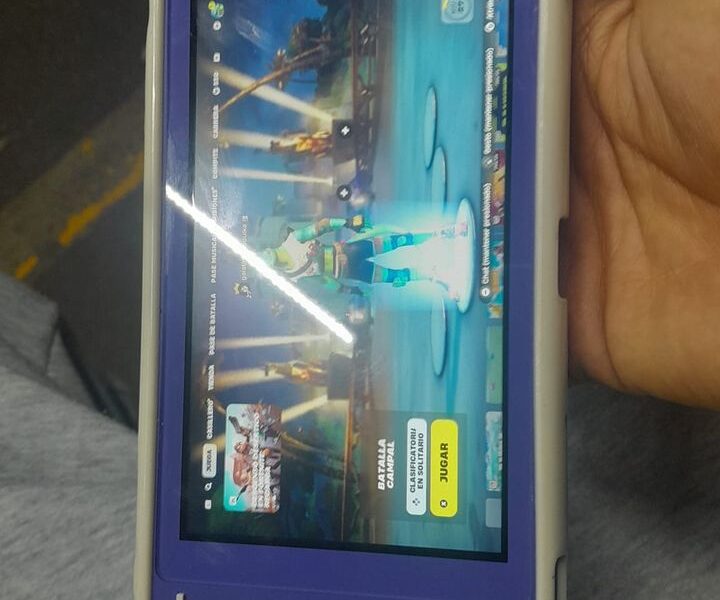 Cambio Nintendo Lite